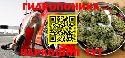 ECSTASY Вязьма