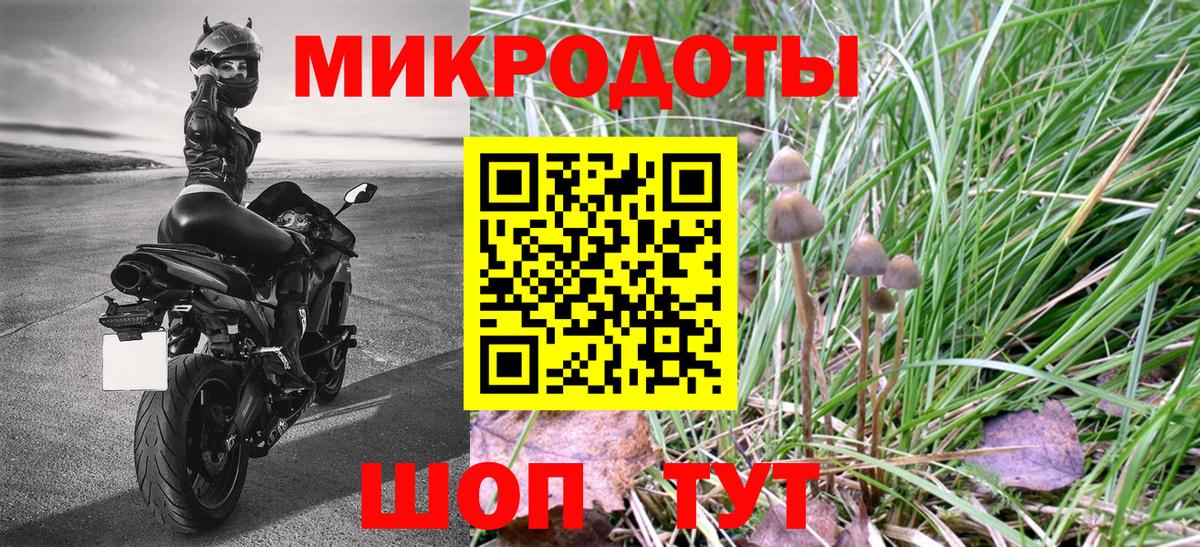 Аша  Галлюциногенные грибы Psilocybine cubensis  Галлюциногенные грибы Psilocybe  Вход с VPN 